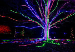 FemNews.de: <br />Weihnachts Wunderwelt auf Schloss Benrath, Neon Trees <br /> Foto: Raymond Gubbay Ltd.