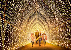 FemNews.de: Weihnachtswunderwelt auf Schloss Benrath - Foto: WinterCathedral, Raymond Gubbay Ltd.