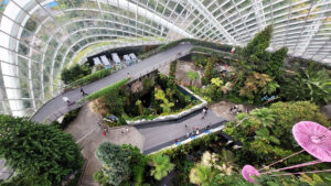 Der Cloud Forest in Gardens by the Bay! Tauche ein in eine fantastisch gestaltete Welt und vergiss deine Sorgen. - FemNews.de – City-Check Singapur