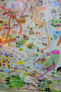 Auf verschiedenen, miteinander verbundenen Routen kannst du die nächtliche Tierwelt erkunden. <br/>FemNews.de – City-Check Singapur - Night Safari