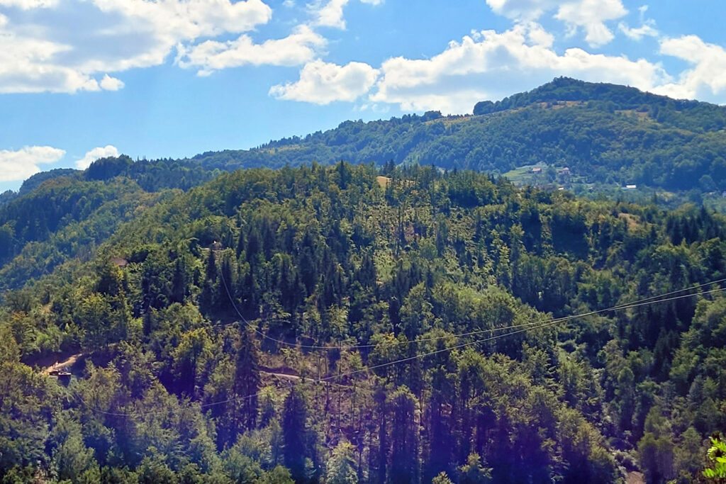 Die Seile der Zipline Ljubiš spannen sich über das bewaldete Tal. – City-Check Zlatibor, FemNews.de Seil über der Landschaft. Panoramablick von der Zipline-Station in Ljubiš auf die Berglandschaft