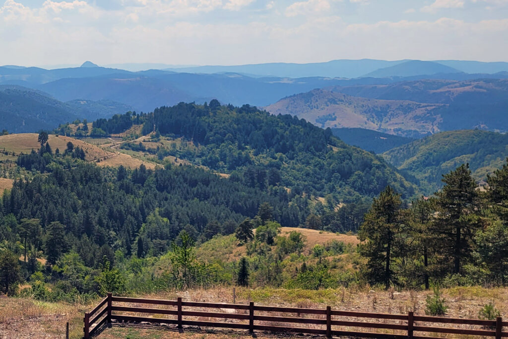 Sonnige Wiesen und grüne Hügel bei Zlatibor im Sommer. Genieße die Bergluft und Natur im Sommer. - City-Check Zlatibor, FemNews.de Landschaft rund um Zlatibor