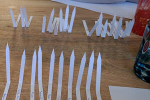 Gerüche können sehr intensiv sein und ganz persönliche Erinnerungen wecken. Es ist interessant zu erfahren, wie unterschiedlich Gerüche wahrgenommenwerden und was sie bei anderen auslösen können. - FemNews.de